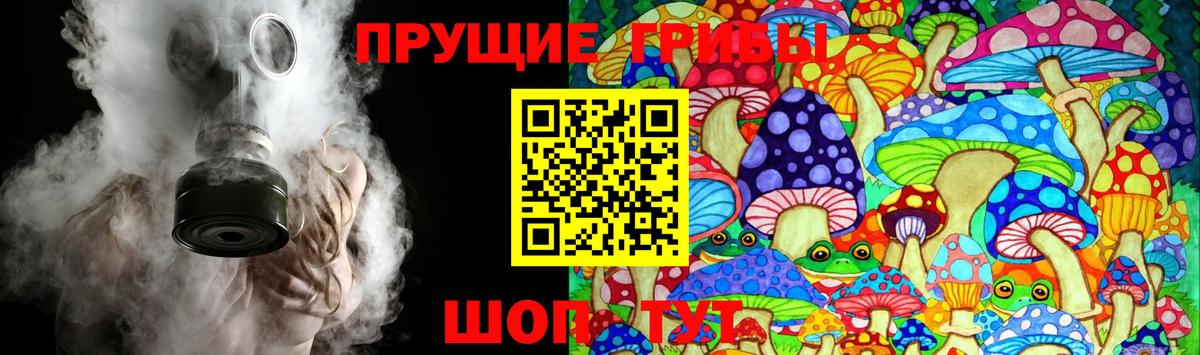 Галлюциногенные грибы GOLDEN TEACHER  Вход с VPN  купить   Кизилюрт 